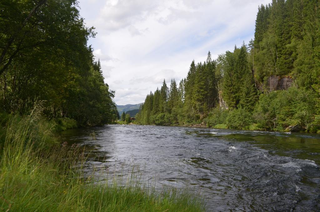 Døskelandslia Camping Sygna Eksteriør bilde